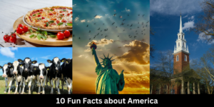 10 Fun Facts About America